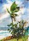Ocean Breeze Poster Print by Richard A. Rodgers - Item # VARPDXR1109D